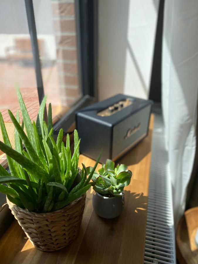 Nordic Huus Apartman Butjadingen Kültér fotó